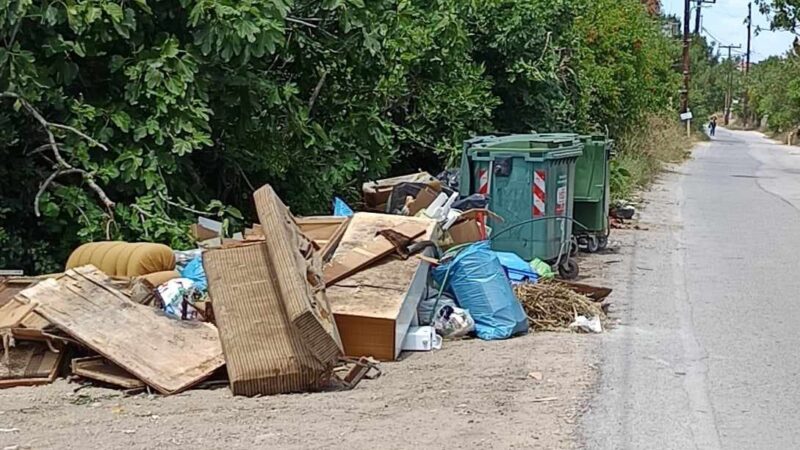 Εικόνες ντροπής στον δρόμο Παραλίας Επανομής-Μηχανιώνας (ΦΩΤΟΡΕΠΟΡΤΑΖ)