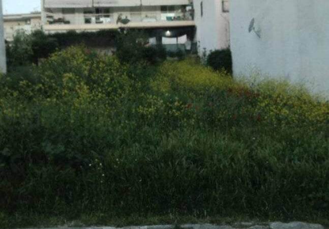 Πνίγηκε στο χόρτο η Επανομή-Αγανάκτηση κατοίκων (ΦΩΤΟΡΕΠΟΡΤΑΖ+ΒΙΝΤΕΟ)
