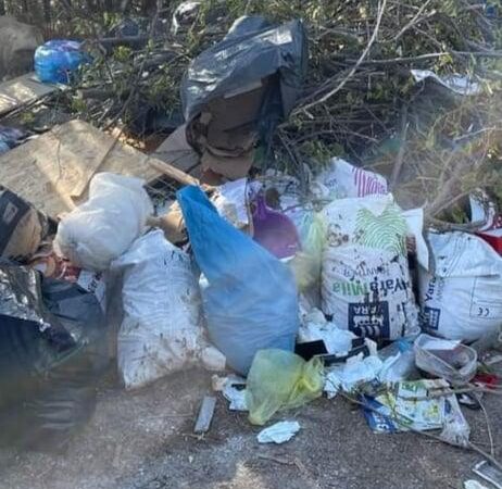 Τι γίνεται ρε παιδιά; Ξεχειλισμένοι κάδοι, ογκώδη, χόρτα μέχρι τον…Θεό! Γιατί; (ΦΩΤΟΡΕΠΟΡΤΑΖ)