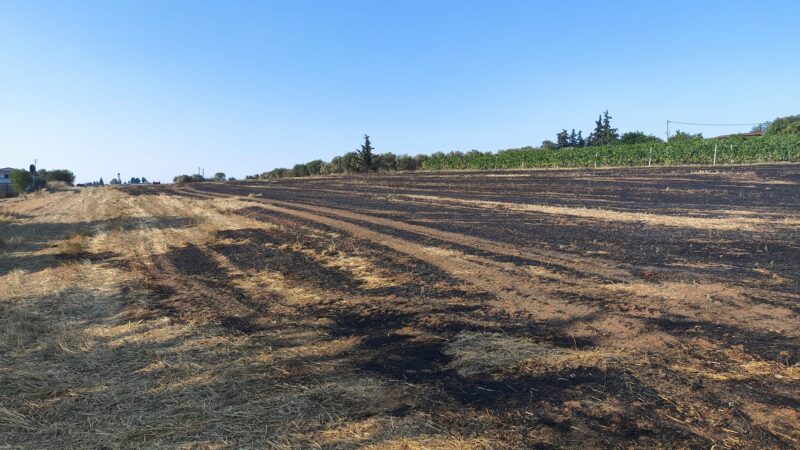 Επανομή: Πρόστιμο 1600 ευρώ σε άνδρα που προκάλεσε πυρκαγιά και συλλήψεις για εμπρησμό
