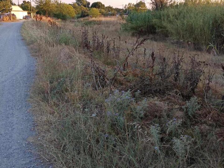 Διαμαρτυρίες κατοίκων στην Παραλία Επανομής για το ρέμα της Αγίας Μαρίνας (ΦΩΤΟΡΕΠΟΡΤΑΖ)