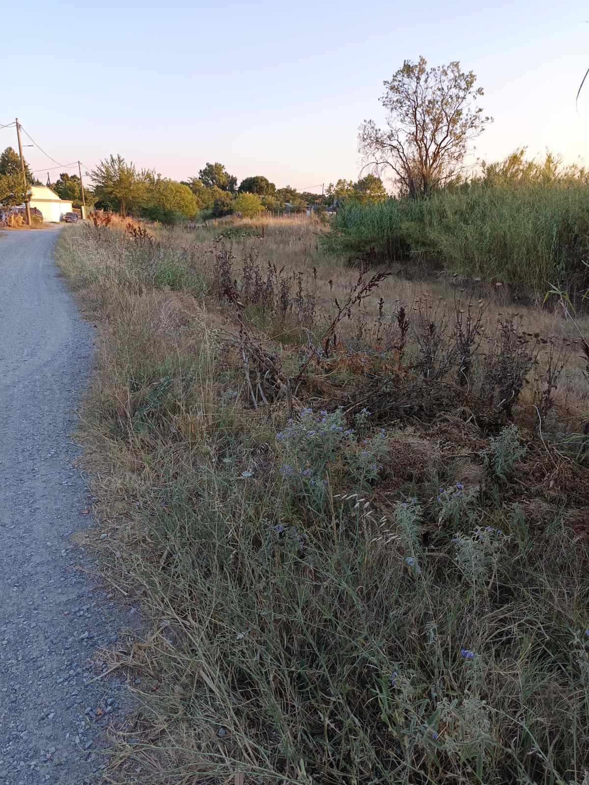 Διαμαρτυρίες κατοίκων στην Παραλία Επανομής για το ρέμα της Αγίας Μαρίνας (ΦΩΤΟΡΕΠΟΡΤΑΖ)