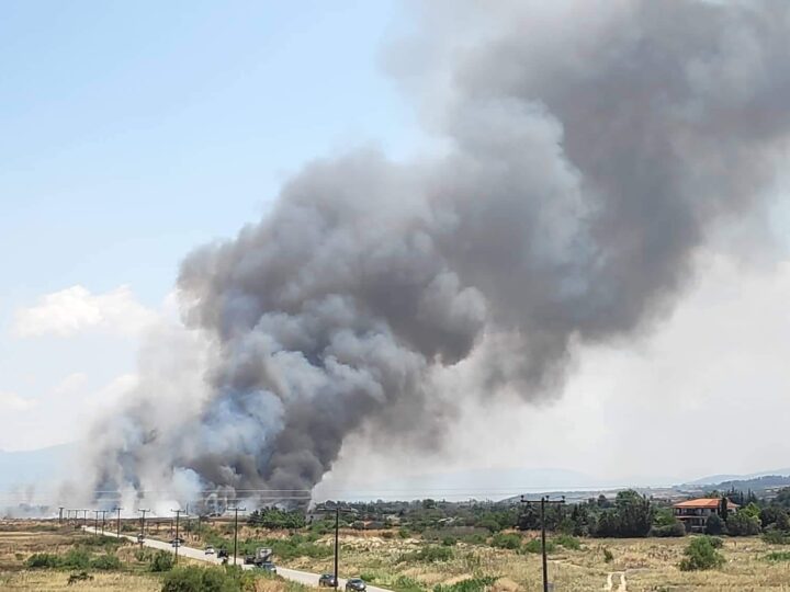 ΤΩΡΑ: Φωτιά στα Τσαϊρια-Επί τόπου 12 οχήματα της Πυροσβεστικής