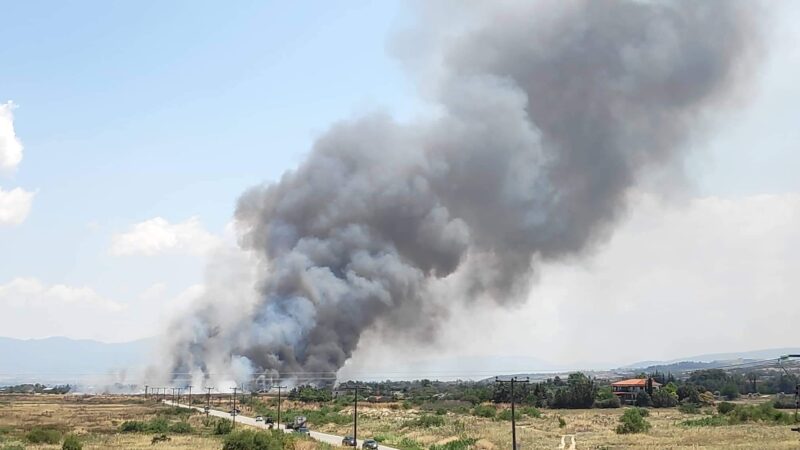 ΤΩΡΑ: Φωτιά στα Τσαϊρια-Επί τόπου 12 οχήματα της Πυροσβεστικής
