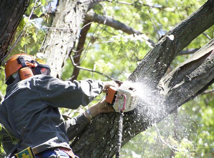 ΤΩΡΑ: Εργασίες καθαρισμού χόρτων και κλαδιών δέντρων στην επαρχιακή οδό Πλαγιαρίου-Μηχανιώνας