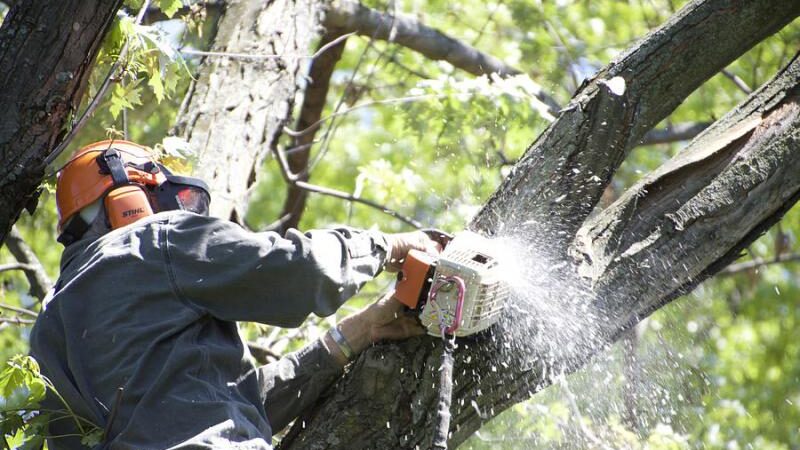 ΤΩΡΑ: Εργασίες καθαρισμού χόρτων και κλαδιών δέντρων στην επαρχιακή οδό Πλαγιαρίου-Μηχανιώνας