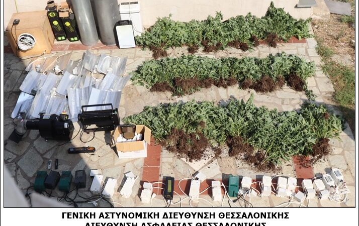 “Εργοστάσιο” χασίς στη Μηχανιώνα: 188 δενδρύλλια κάνναβης, πιστόλι, φυσσίγγια (ΦΩΤΟΡΕΠΟΡΤΑΖ)