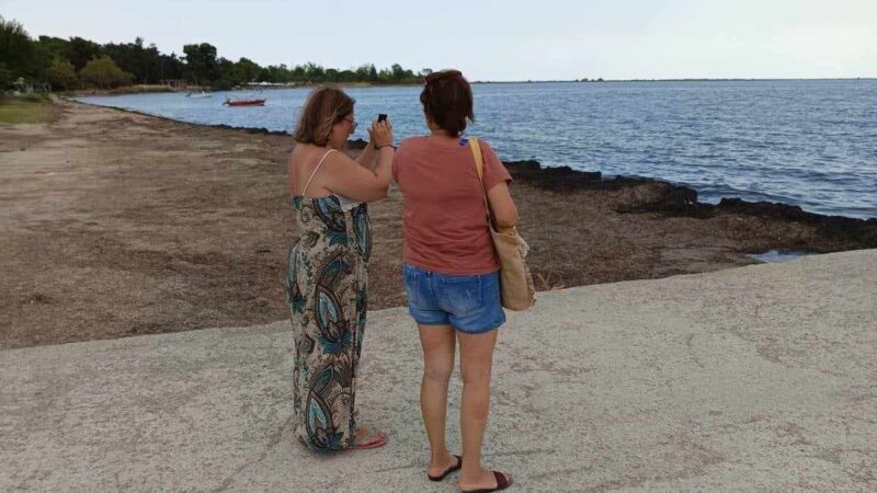 Τι ντροπή… Τουρίστριες φωτογραφίζουν τα φύκια που έχουν πνίξει την Παραλία Επανομής (ΦΩΤΟΡΕΠΟΡΤΑΖ)