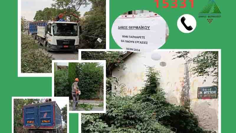 Plot Cleaning Καθάρισμα οικοπέδου στην Περαία-Επεσαν τα πρώτα πρόστιμα