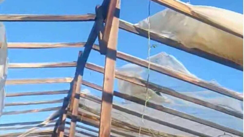 Οι ισχυροί άνεμοι κατέστρεψαν θερμοκήπια στο Αγγελοχώρι (ΒΙΝΤΕΟ)