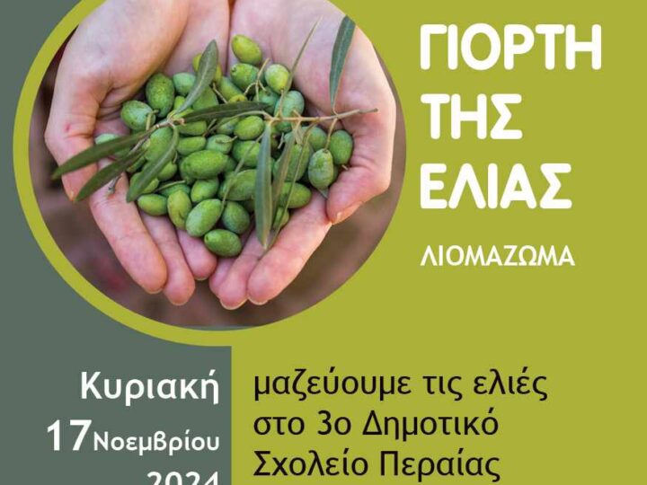 Γιορτή της Ελιάς την Κυριακή στη Περαία