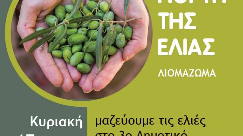 Γιορτή της Ελιάς την Κυριακή στη Περαία