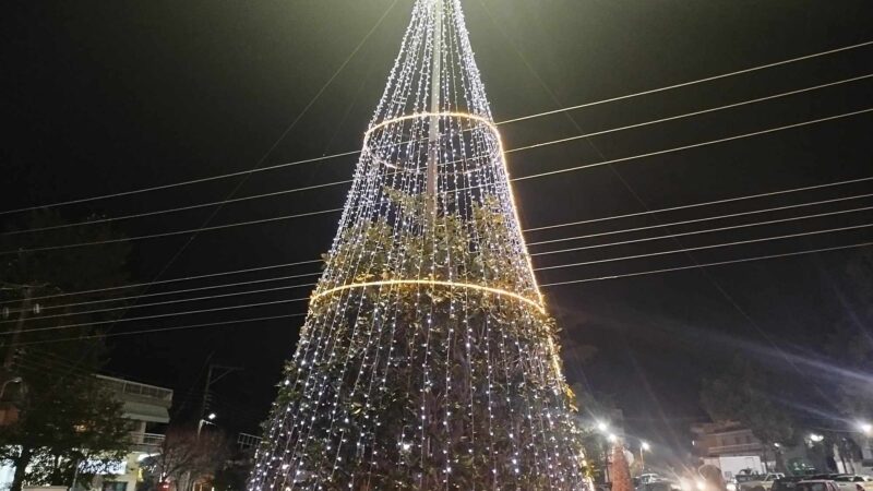 Τα Χριστούγεννα ήρθαν στη Μηχανιώνα! Φωταγωγήθηκε το δέντρο! (ΦΩΤΟΡΕΠΟΡΤΑΖ+2 ΒΙΝΤΕΟ)
