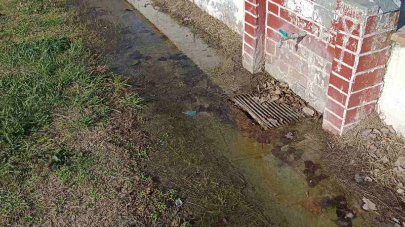 Συνεχίζεται η απαξίωση της Παραλίας Επανομής-Κάτοικοι: “Εμείς δεν ανήκουμε στον Δήμο Θερμαϊκού;” (ΦΩΤΟΡΕΠΟΡΤΑΖ)