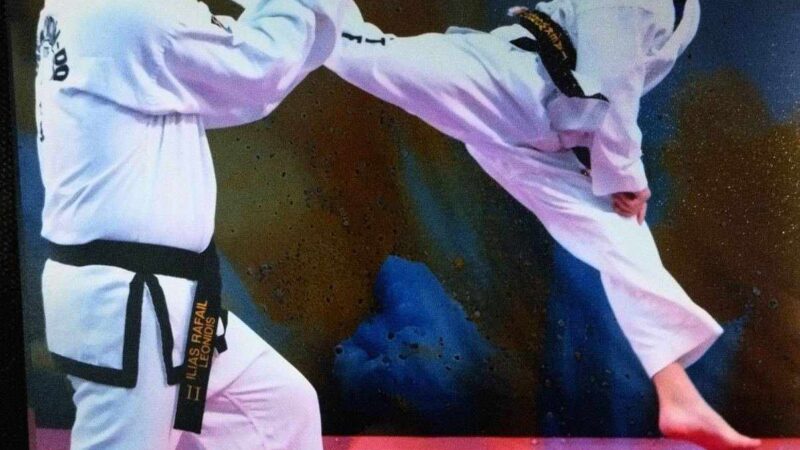 Νηρέας Μηχανιώνας: Το Taekwon-do τρόπος ζωής!