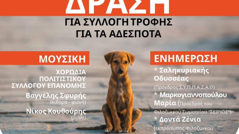 Δράση για τα αδέσποτα την Κυριακή στην Επανομή