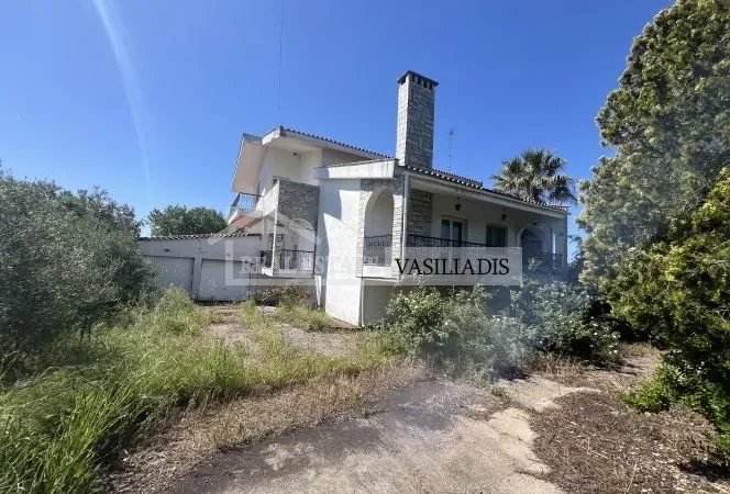 Real Estate Vasiliadis: Ευκαιρία! Προς πώληση εκπληκτική μονοκατοικία στο Αγγελοχώρι