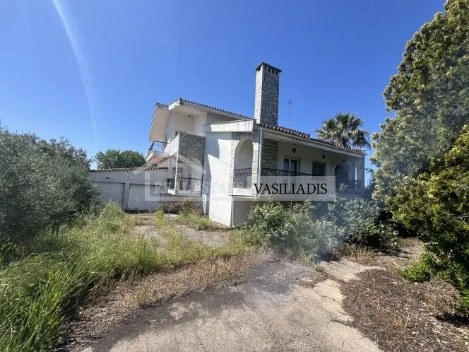 Real Estate Vasiliadis: Ευκαιρία! Προς πώληση εκπληκτική μονοκατοικία στο Αγγελοχώρι