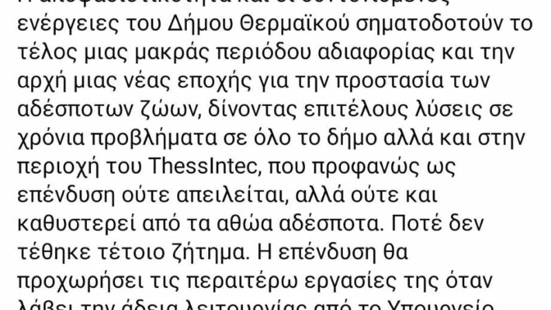 Προβληματισμός στο Δημαρχείο για το άστοχο δελτίο τύπου για τα αδέσποτα