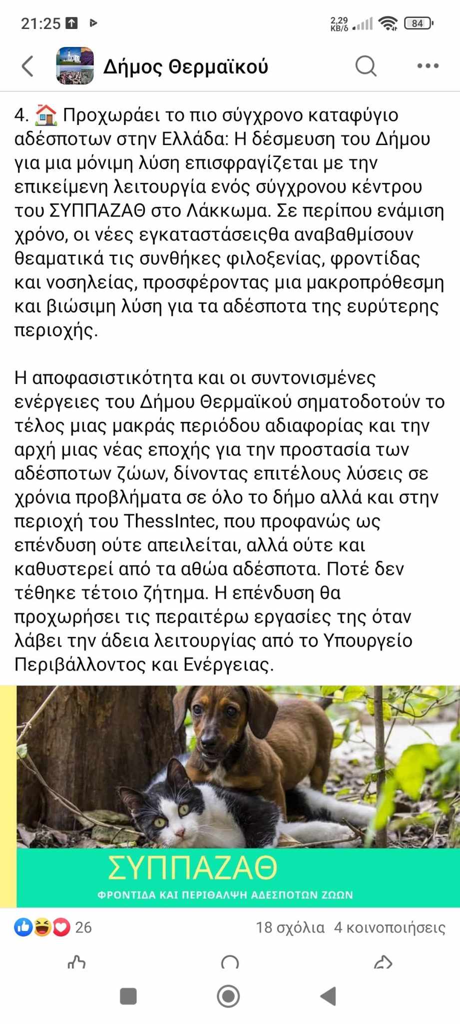 Προβληματισμός στο Δημαρχείο για το άστοχο δελτίο τύπου για τα αδέσποτα