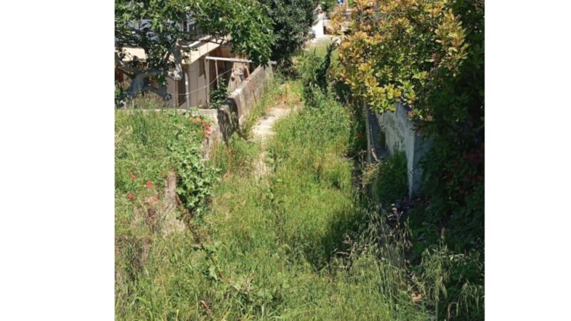 Αγία Τριάδα: Γεμάτο χόρτα το ρέμα της οδού Παύλου Μελά-Επιστολή των κατοίκων