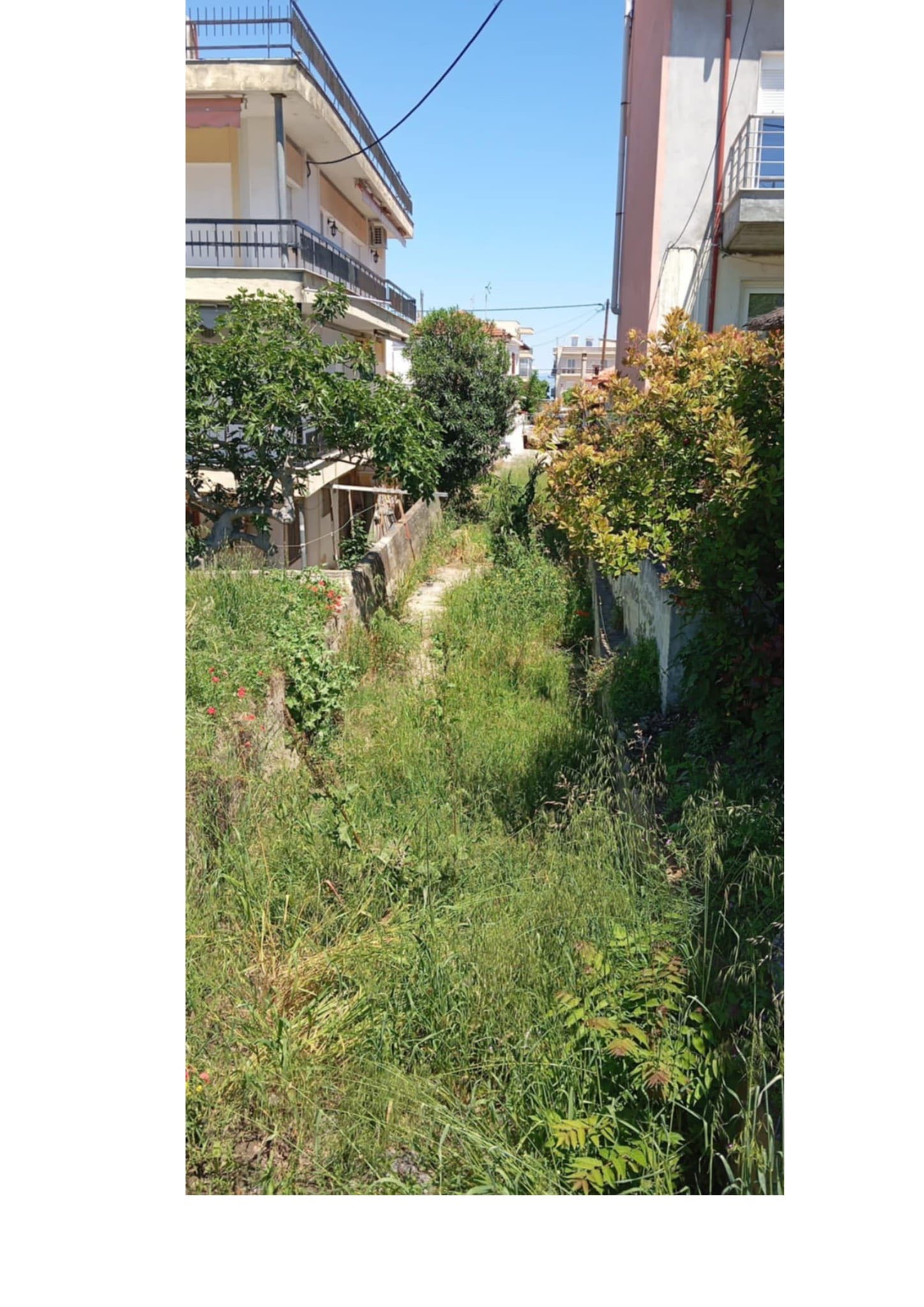 Αγία Τριάδα: Γεμάτο χόρτα το ρέμα της οδού Παύλου Μελά-Επιστολή των κατοίκων