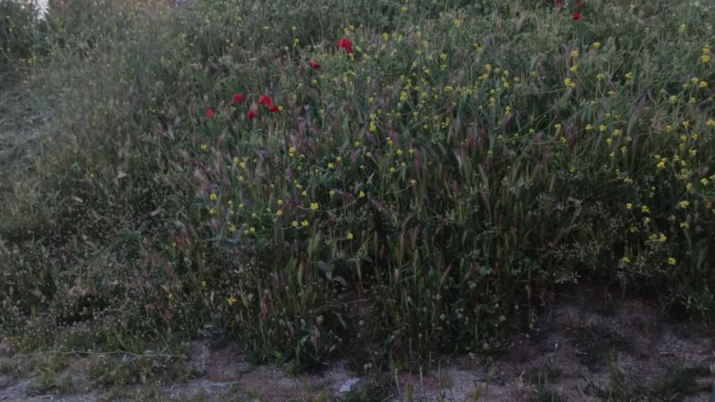 Απαράδεκτη και επικίνδυνη κατάσταση στο Πυροφυλάκειο της Περαίας