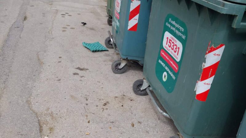 Γεμίσαμε σκουπίδια…(ΦΩΤΟΡΕΠΟΡΤΑΖ)
