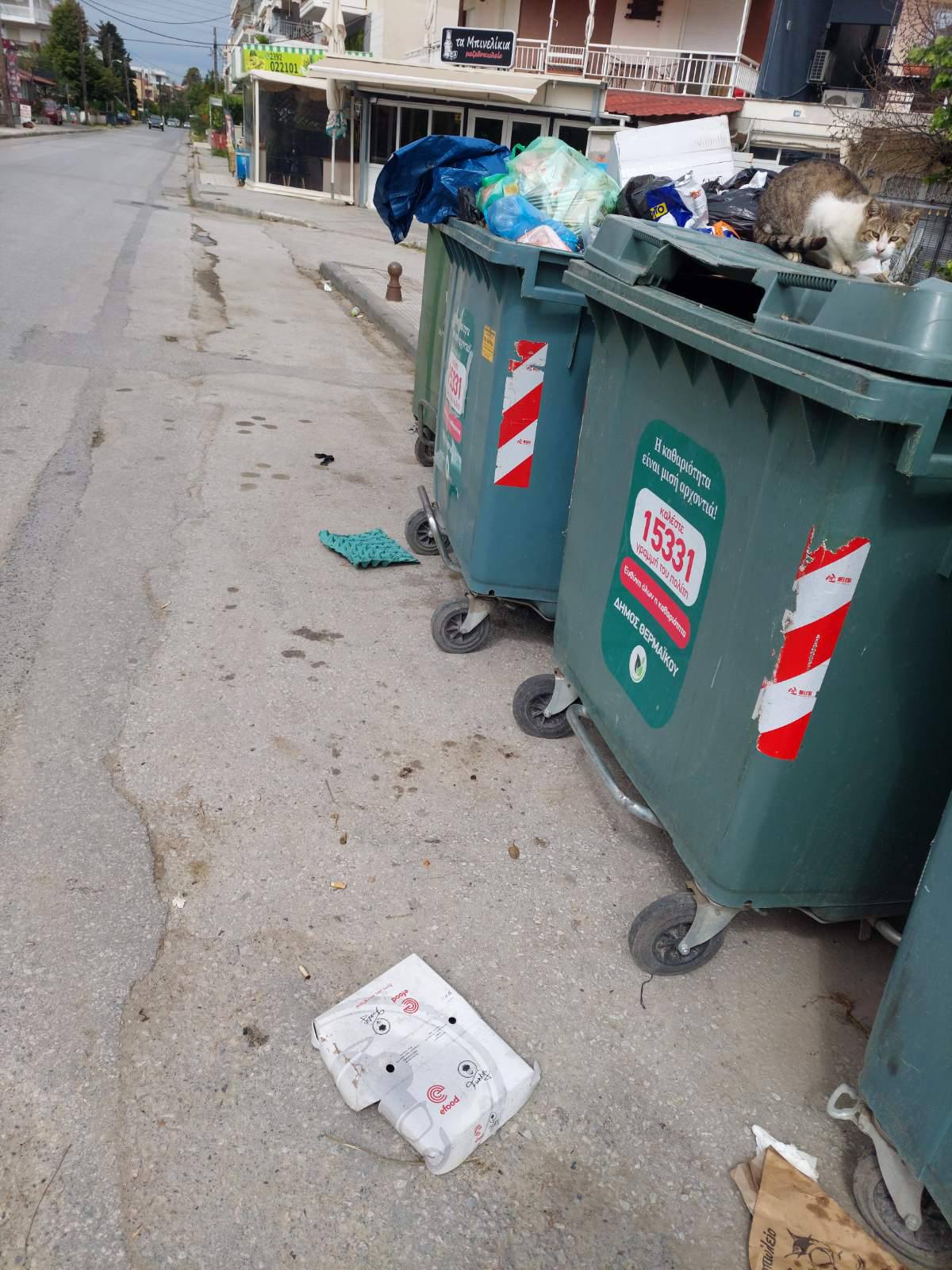 Γεμίσαμε σκουπίδια…(ΦΩΤΟΡΕΠΟΡΤΑΖ)