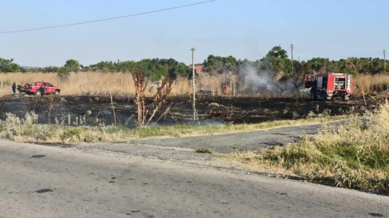 Αλλη μία πυρκαγιά στα Τσαϊρια (ΦΩΤΟΡΕΠΟΡΤΑΖ)