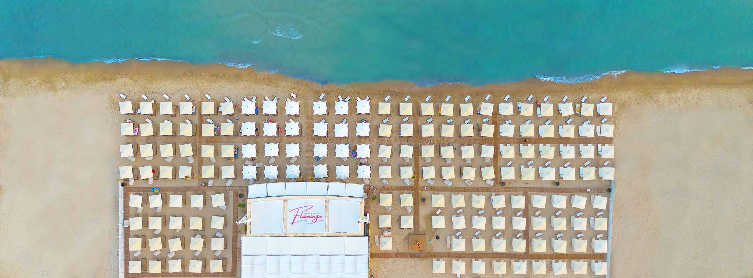 Μία και μόνη επιλογή: Flamingo…