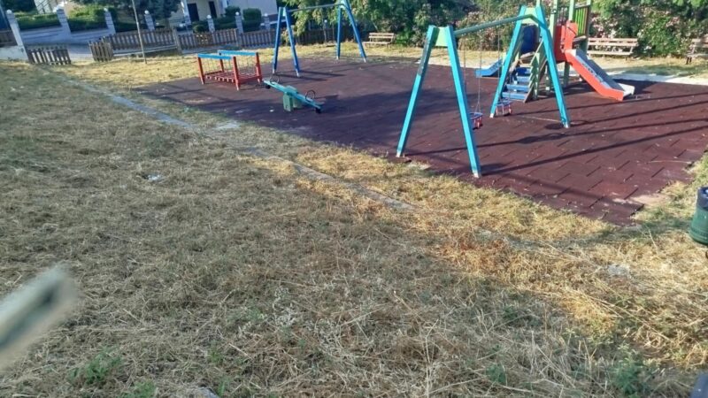 Φίδια στην παιδική χαρά της Κερασιάς: Αρον-άρον έστειλαν συνεργείο για αποψίλωση (ΦΩΤΟΡΕΠΟΡΤΑΖ)