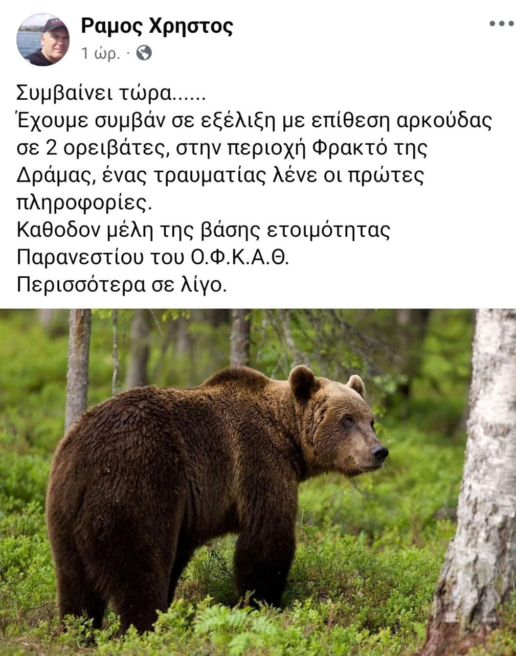 Αγριεμένη αρκούδα σκορπά τον τρόμο στη Δράμα: Βοήθεια από ΟΦΚΑΘ-Ανάρτηση Ράμου