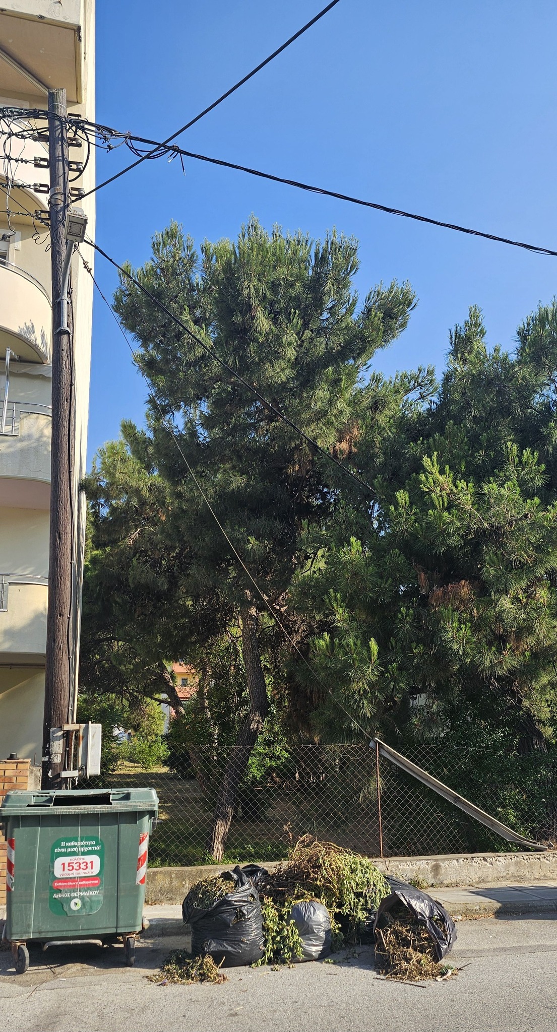 Επισήμανση αναγνώστριας για την φωτιά στους Ν. Επιβάτες : “Είχε ενημερωθεί ο δήμαρχος για την επικινδυνότητα του σημείου”