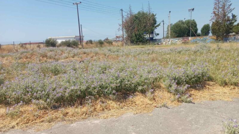 Παρατημένο το Αγγελοχώρι: Στα κάγκελα οι κάτοικοι, απερίγραπτη η κατάσταση στο λιμάνι (ΦΩΤΟΡΕΠΟΡΤΑΖ)