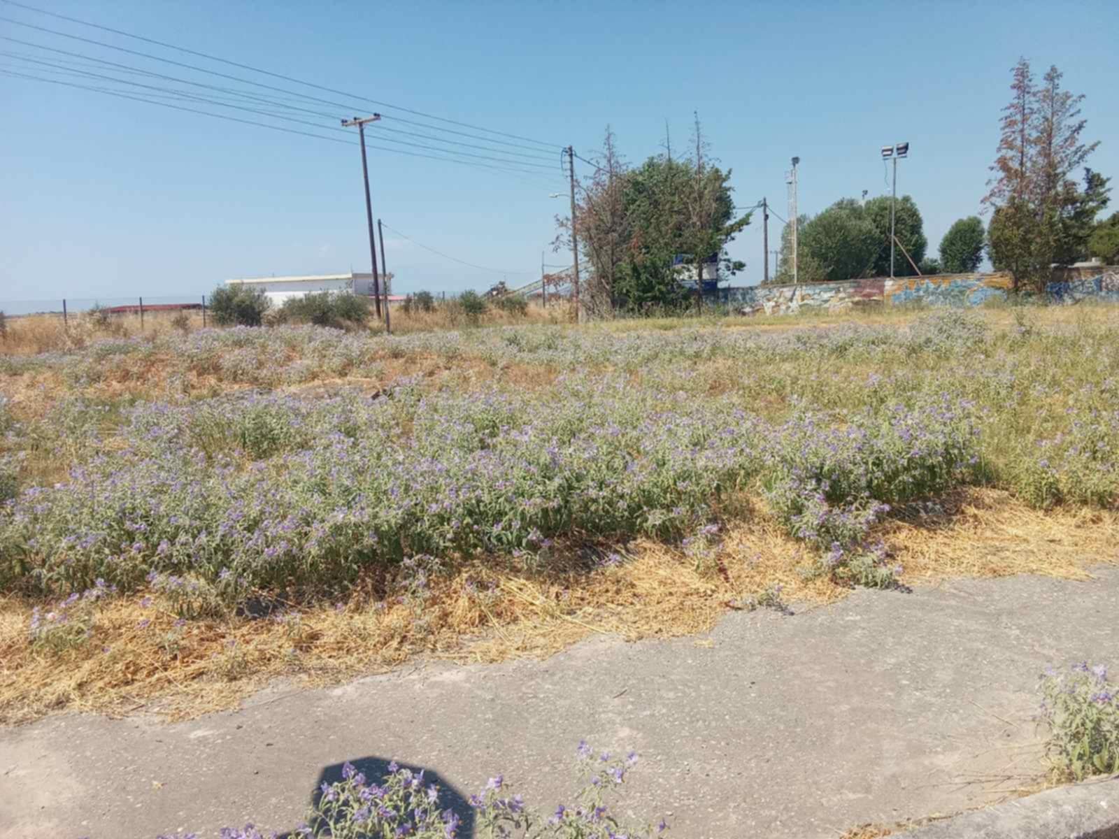 Παρατημένο το Αγγελοχώρι: Στα κάγκελα οι κάτοικοι, απερίγραπτη η κατάσταση στο λιμάνι (ΦΩΤΟΡΕΠΟΡΤΑΖ)