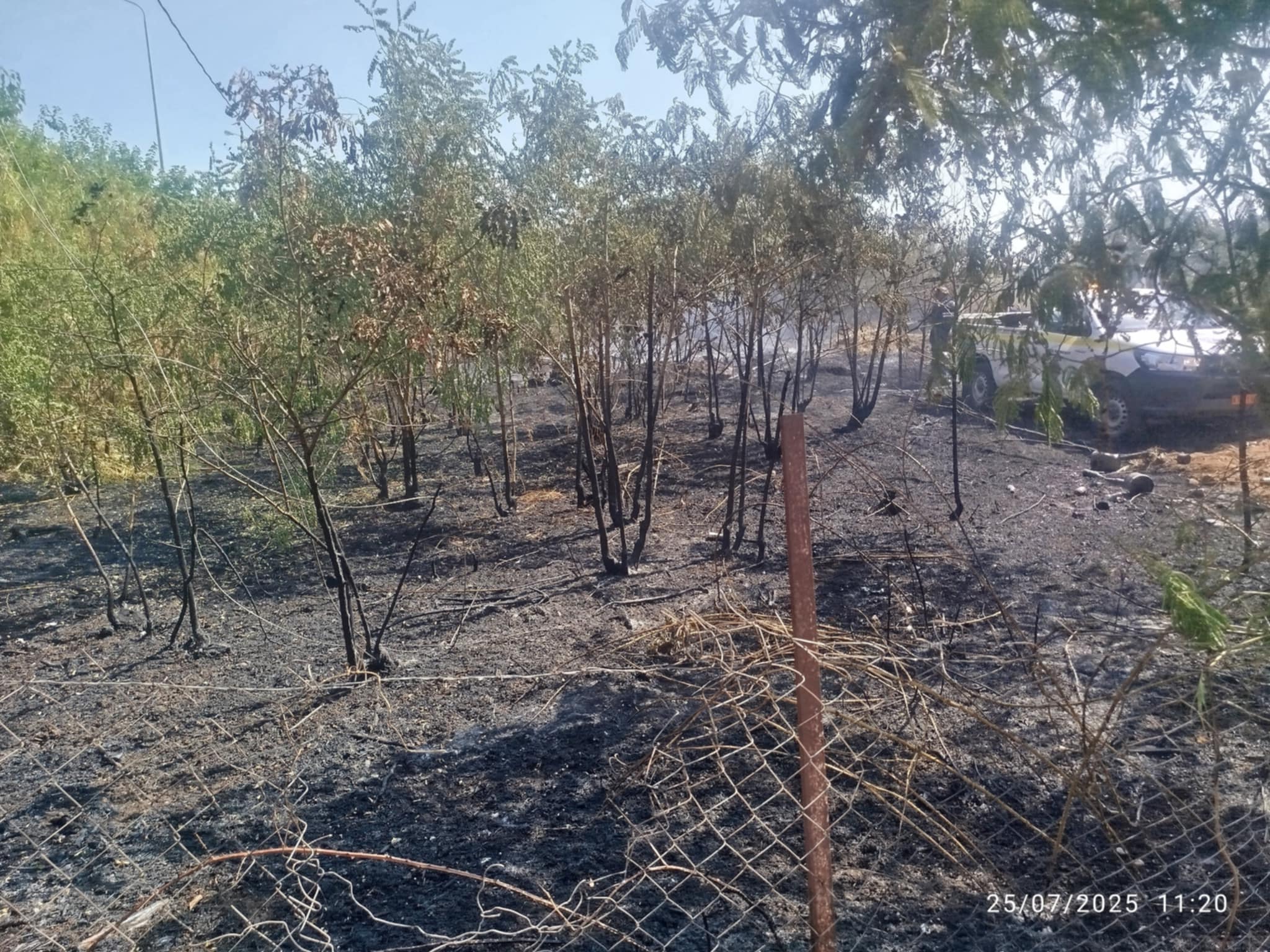 ΤΩΡΑ: Φωτιά στη Μηχανιώνα-Δίπλα στον Σκλαβενίτη (ΒΙΝΤΕΟ)