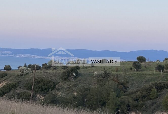 Real Estate Vasiliadis: ΠΩΛΕΙΤΑΙ αμφιθεατρικό αγροτεμάχιο στο Αγγελοχώρι