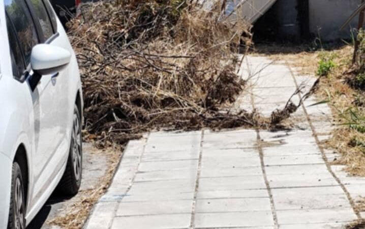 Ο Τζέκος έδιωξε τον Χαρμάνα και ανέλαβε ο ίδιος την καθαριότητα: Και ιδού το αποτέλεσμα-Πιο βρώμικα δεν ήμασταν ποτέ! (ΦΩΤΟΡΕΠΟΡΤΑΖ ΑΠΟ ΤΟΥΣ Ν. ΕΠΙΒΑΤΕΣ)