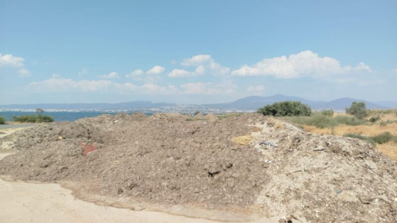 Ιδού που πετάνε τα φύκια ΟΤΑΝ τα μαζεύουν (ΦΩΤΟΡΕΠΟΡΤΑΖ)