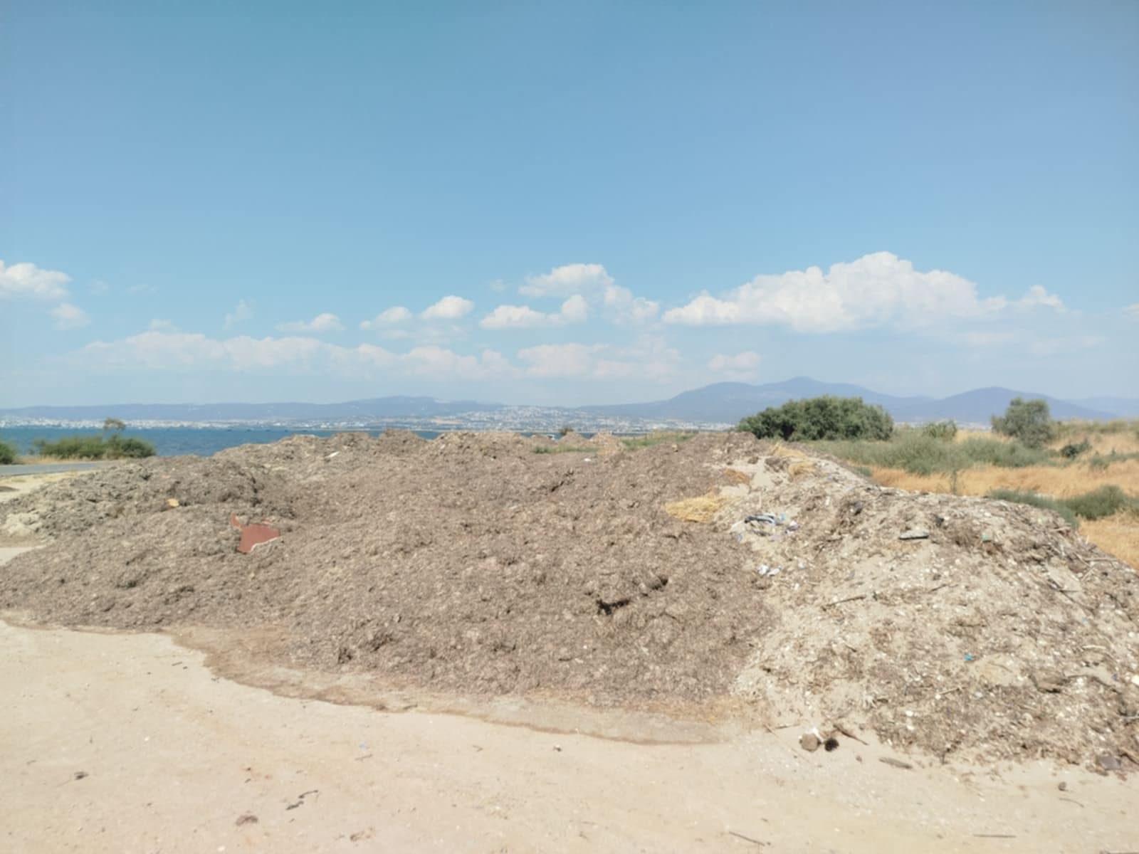 Ιδού που πετάνε τα φύκια ΟΤΑΝ τα μαζεύουν (ΦΩΤΟΡΕΠΟΡΤΑΖ)
