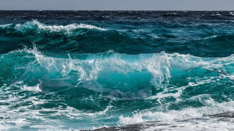 «Καμπανάκι» από τους ναυαγοσώστες για τους πνιγμούς – «Πρώτος εχθρός μας το κινητό» (BINTEO)