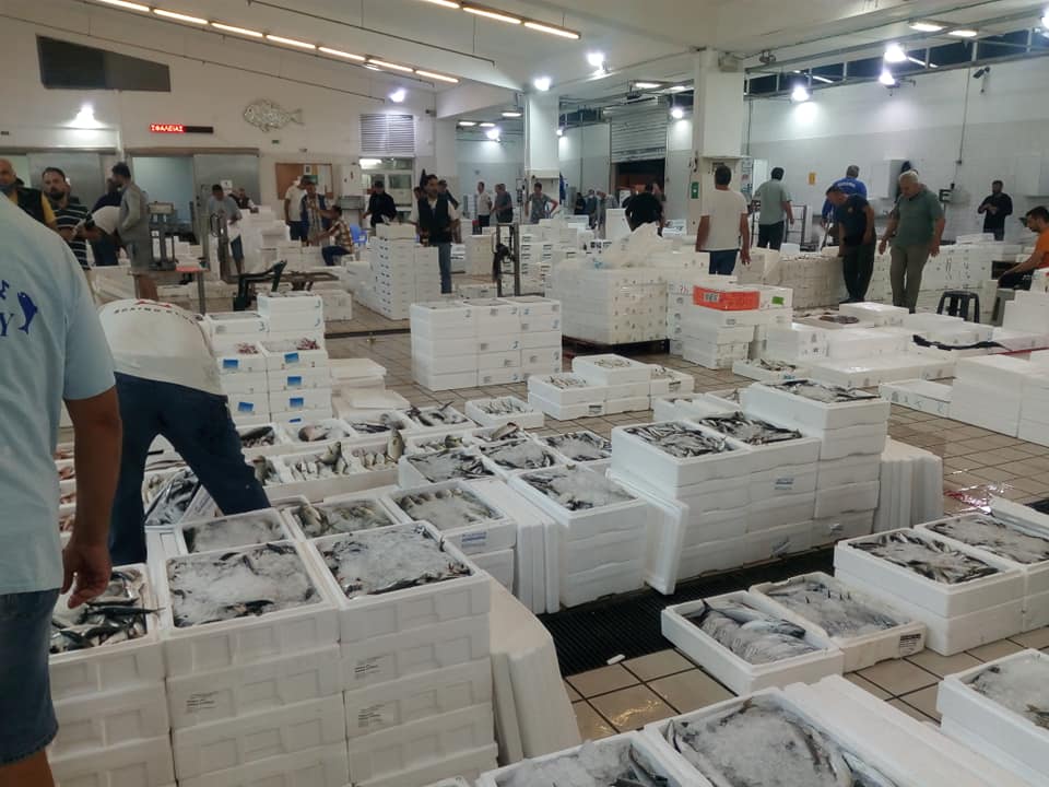 Εκτοξεύθηκαν οι τιμές στην Ιχθυόσκαλα της Μηχανιώνας: Γαύρος και σαρδέλα φτάνουν στη λιανική τα 13 ευρώ το κιλό-Που οφείλονται ολ΄ αυτά;