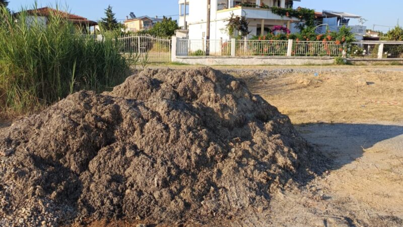 Δύο μήνες συμπλήρωσαν οι στοίβες τα φύκια στην Παραλία Επανομής