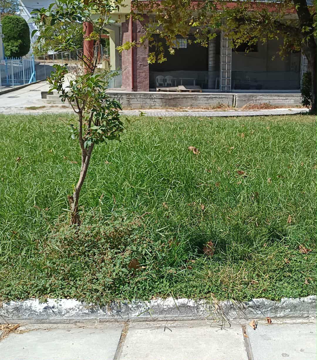 Νέο Πάρκο Επανομής, σήμερα, όλα καλά;