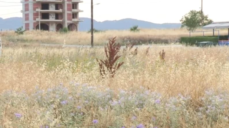 Δήμος Θερμαϊκού: Πρόστιμα παντού για ακαθάριστα οικόπεδα
