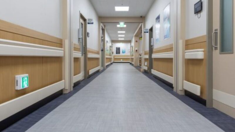 Συναγερμός στα νοσοκομεία: Σε έξαρση ο Candidozyma auris – Τι λένε οι ειδικοί (ΒΙΝΤΕΟ)