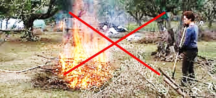 ΑΠΑΓΟΡΕΥΕΤΑΙ η καύση κλαδιών και χόρτων