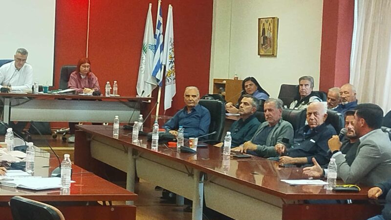 Η παρέμβαση και η πρόταση των Νέων του Θερμαϊκού στο Δημοτικό Συμβούλιο (2 ΒΙΝΤΕΟ)