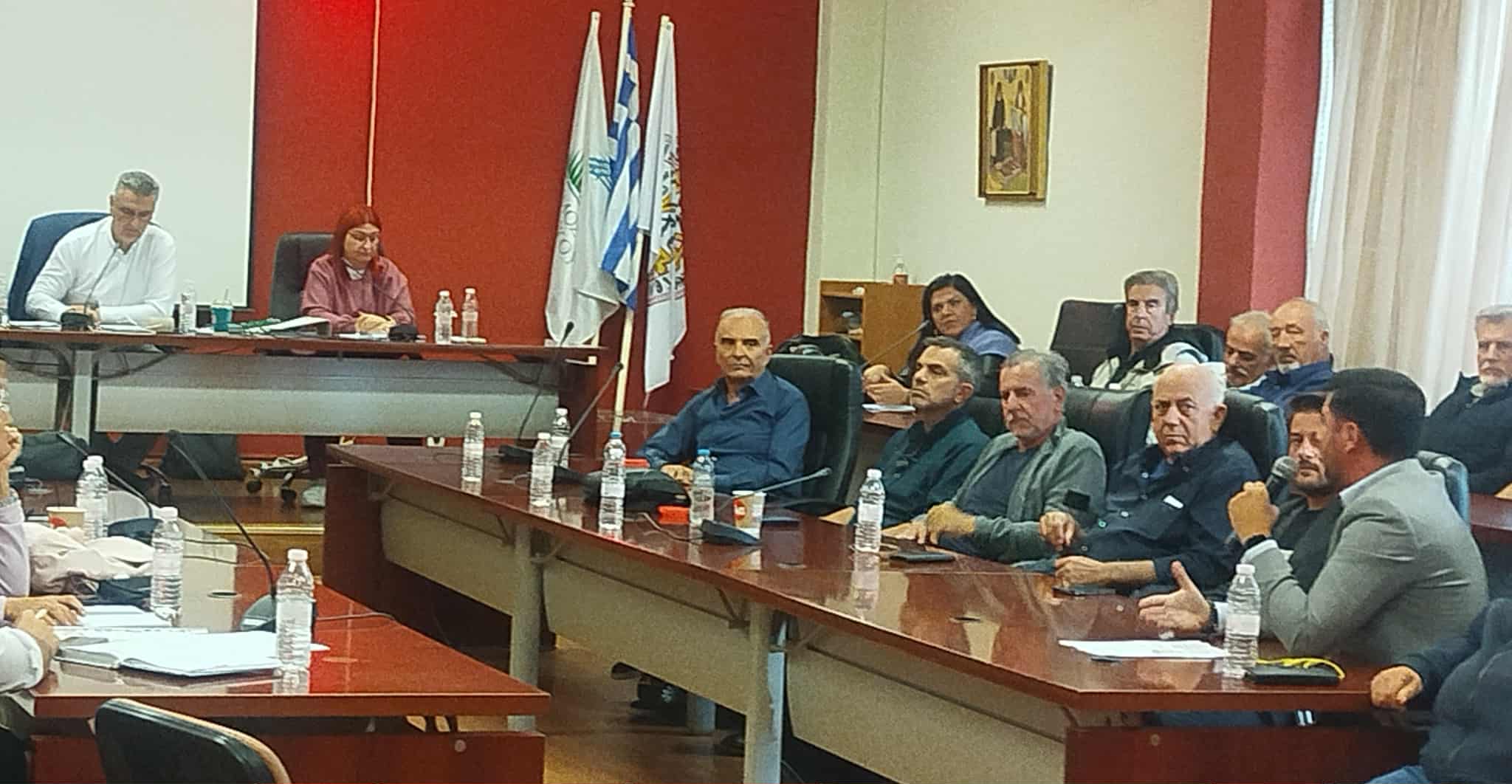 Η παρέμβαση και η πρόταση των Νέων του Θερμαϊκού στο Δημοτικό Συμβούλιο (2 ΒΙΝΤΕΟ)